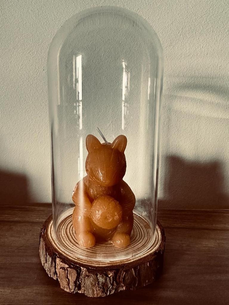 Love, Made In Xisto Piódão Екстериор снимка